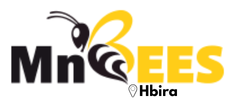 MnBees Mahdia - Hbira